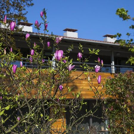 Apartamentos Casona de la Paca Cudillero Exterior foto