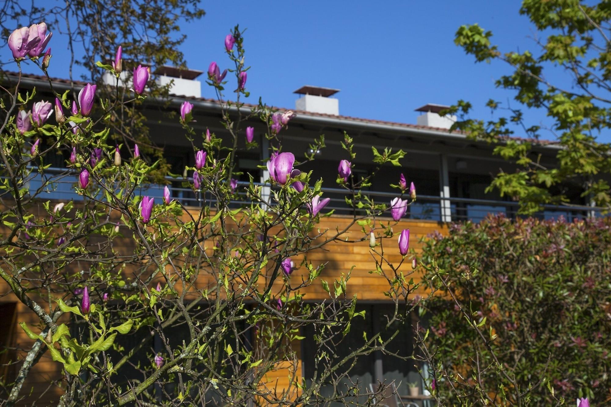 Apartamentos Casona de la Paca Cudillero Exterior foto